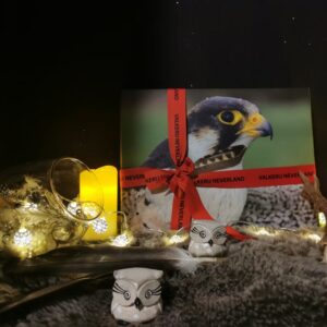 Boîte cadeau "VIP"