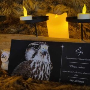 Chèque-Cadeau Physique: Atelier 2h30 - Les Snipers du ciel ou les ailes de la nuit