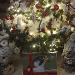 La boîte cadeau « Kids »